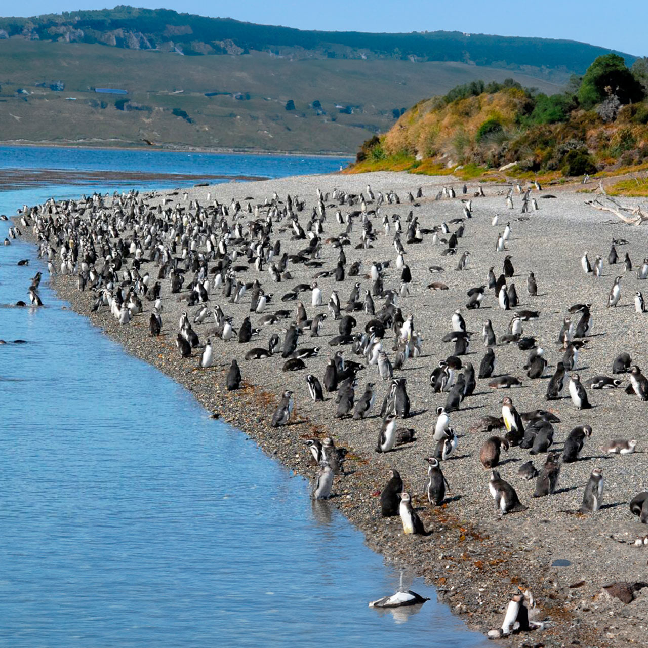 Parque Nacional Los Glaciares